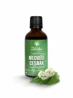 Medvedí cesnak