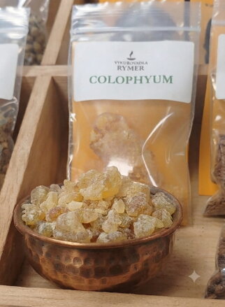 Colophyum