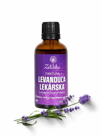 Levanduľa lekárska
