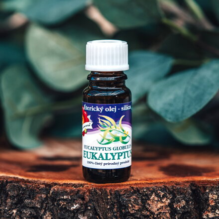 Eukalyptus 10 ml