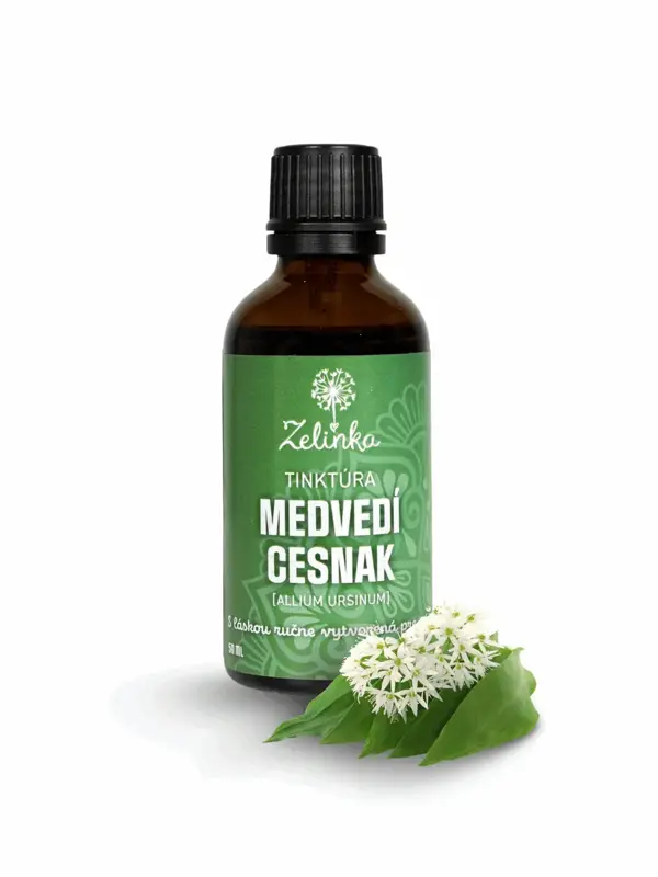 Medvedí cesnak tinktúra