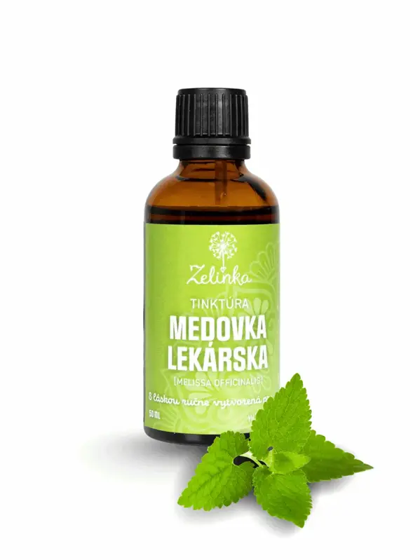 Medovka lekárska tinktúra