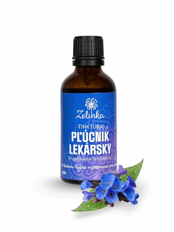 Pľúcnik lekársky tinktúra