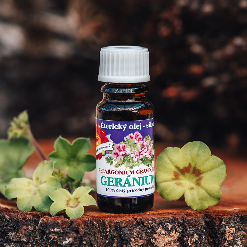 Geranium bourbon
